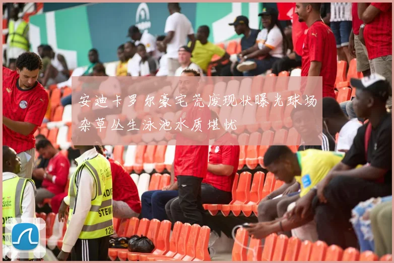 安迪卡罗尔豪宅荒废现状曝光球场杂草丛生泳池水质堪忧
